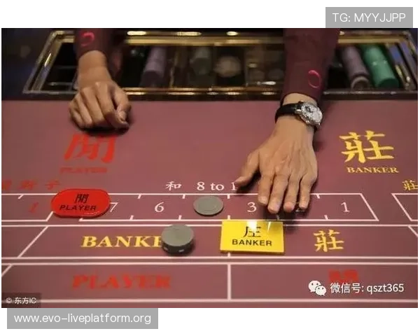 提升百家乐游戏技巧的必备工具——百家乐路单记录器详细介绍